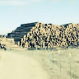 Meet your Posher, Jade